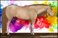 Horse Color:Liver Chestnut Pearl  and Liver Chestnut Pearl 