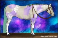 Horse Color:Watercolor White Spotted Liver Chestnut Pearl Tobiano  and Watercolor White Spotted Grullo Pearl Tobiano 