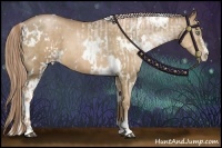 Horse Color:White Spotted Liver Chestnut Pearl Sabino and White Spotted Liver Chestnut Pearl Sabino