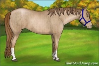 Horse Color:Liver Chestnut Pearl  and Liver Chestnut Pearl 