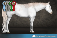 Horse Color:White Spotted Liver Chestnut Pearl Splash Frame Rabicano  and White Spotted Liver Chestnut Pearl Splash Frame Rabicano