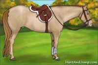Horse Color:Liver Chestnut Pearl  Brindle