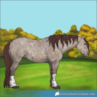 Horse Color:Chocolate Buckskin Ice Dun and Chocolate Grullo Ice