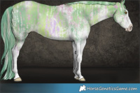 Horse Color:Watercolor White Spotted Liver Chestnut Pearl Tobiano and Watercolor White Spotted Liver Chestnut Pearl Tobiano