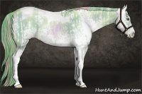 Horse Color:Watercolor White Spotted Liver Chestnut Pearl Tobiano and Watercolor White Spotted Liver Chestnut Pearl Tobiano