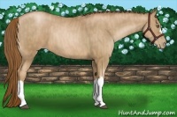 Horse Color:Liver Chestnut Pearl  Brindle