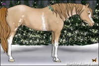 Horse Color:White Spotted Chestnut Pearl 