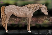 Horse Color:Chestnut Ice 