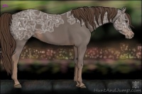 Horse Color:Liver Chestnut Ice 