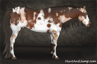 Horse Color:White Spotted Chocolate Palomino Pearl Tobiano  and White Spotted Liver Chestnut Tobiano 