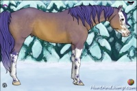 Horse Color:Watercolor Bay Sabino Splash