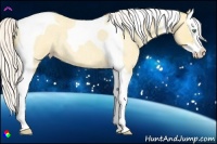 Horse Color:Silver Amber Cream Champagne Roan Dun Splash Tobiano 
