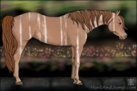 Horse Color:Chestnut Ice 