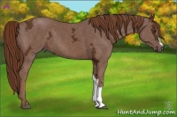 Horse Color:Chestnut Ice 