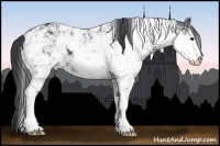 Horse Color:Black Sabino 