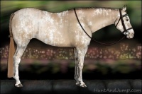 Horse Color:White Spotted Liver Chestnut Pearl and Liver Chestnut Pearl Sabino