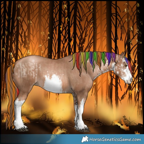 Horse Color:Painted White Spotted Liver Chestnut Pearl and Painted White Spotted Liver Chestnut Pearl