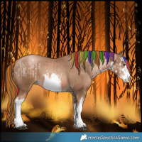 Horse Color:Painted White Spotted Liver Chestnut Pearl  and Painted White Spotted Liver Chestnut Pearl 