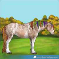 Horse Color:Painted White Spotted Liver Chestnut Pearl and Painted White Spotted Liver Chestnut Pearl