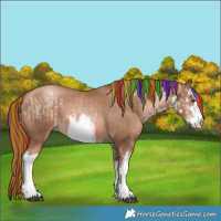 Horse Color:Painted White Spotted Liver Chestnut Pearl and Painted White Spotted Liver Chestnut Pearl