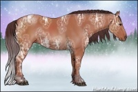 Horse Color:Chocolate Bay Ice Sabino 