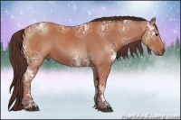 Horse Color:Chocolate Bay Ice Sabino 