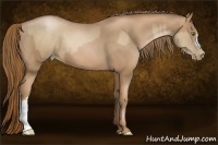 Horse Color:Liver Chestnut Pearl  and Liver Chestnut Pearl 