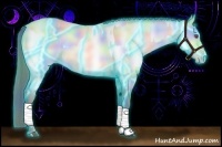 Horse Color:Nacre Thunderstruck Bay Chinchilla Pearl  and Nacre Thunderstruck Bay Chinchilla Pearl 
