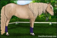 Horse Color:Liver Chestnut Pearl  and Liver Chestnut Pearl 