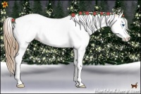Horse Color:Chestnut Pearl Splash Tobiano Blanket Rabicano