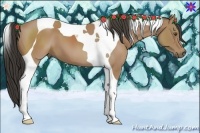 Horse Color:Buckskin Tobiano 