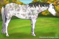 Horse Color:Nacre Grullo Ice Splash 