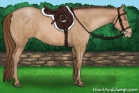 Horse Color:Bay Pearl  and Bay Pearl 