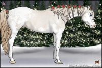 Horse Color:Black Pearl Splash Appaloosa Rabicano 