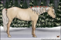 Horse Color:Silver Grullo Pearl Rabicano