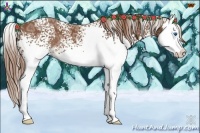 Horse Color:White Spotted Chestnut Ice Splash 