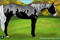 Horse Color:Silver Black Chinchilla Splash Rabicano 