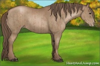 Horse Color:Black Pearl and Black Pearl