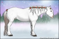 Horse Color:Brown Appaloosa