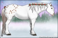 Horse Color:Brown Appaloosa