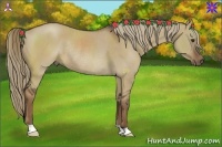 Horse Color:Liver Red Dun Rabicano 