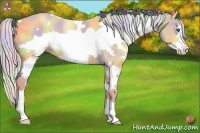Horse Color:Nacre White Spotted Silver Amber Cream Champagne Frame 