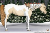Horse Color:Red Dun Pearl Tobiano 