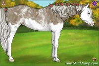 Horse Color:White Spotted Liver Red Dun Splash Rabicano