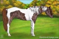 Horse Color:Chestnut Ice Tobiano