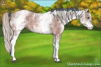 Horse Color:White Spotted Silver Bay Ice 