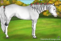 Horse Color:Silver Bay Chinchilla Onyx Splash 