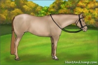 Horse Color:Liver Chestnut Pearl  and Liver Chestnut Pearl 