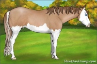 Horse Color:Brown Pearl Splash 