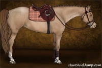 Horse Color:Bay Pearl  and Bay Pearl 